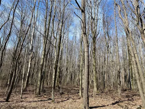 0 Armel Hollow Rd, Latrobe, PA 15650