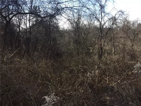 00 Beaver Grade, Moon Township, PA 15108