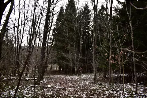 0 Vanderbilt St, Commodore, PA 15729 photo 6
