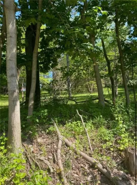 152 Snyder, Venetia, PA 15367