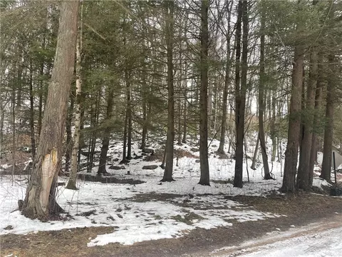 0 Sandy Run Rd, Rockwood, PA 15557