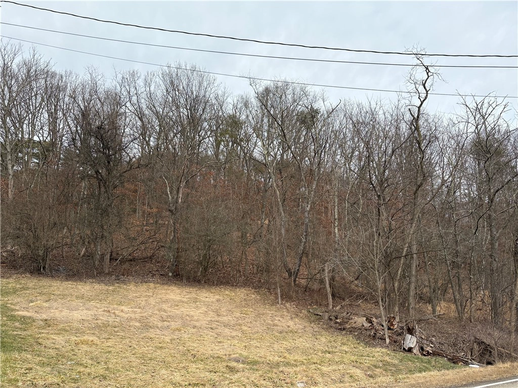 0 Warrendale Bayne Rd  