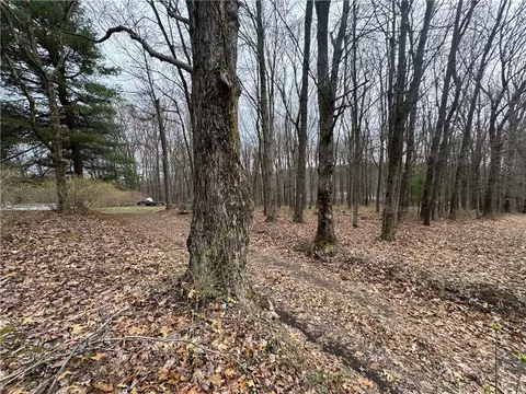482 Sand Rd, Parker, PA 16049 photo 27