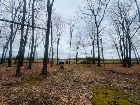 Exterior - 0 Resh Rd, Confluence, PA 15424 photo 6 of 15