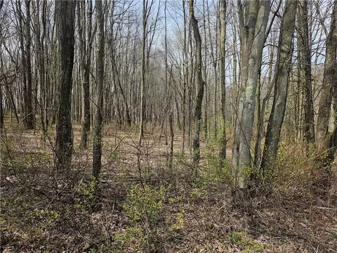 lot2 Book Rd, Volant, PA 16156