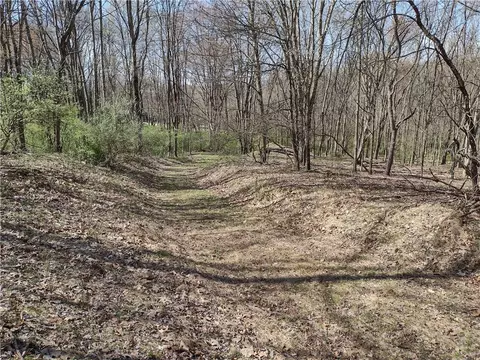 00 Tenacity Trail Off Wright Rd, Mars, PA 16046 photo 3