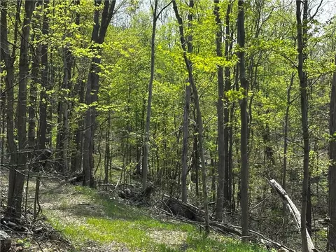 26115 Jumonville Rd, Hopwood, PA 15445