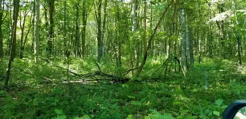 0 Tinker Ridge Rd, Ohiopyle, PA 15470