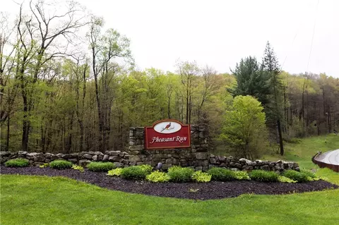 lot20 Pheasant Run Ln, Champion, PA 15622