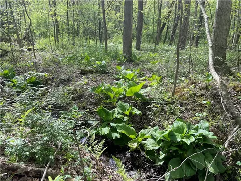 000 Conneaut Lake Rd, Greenville, PA 16125