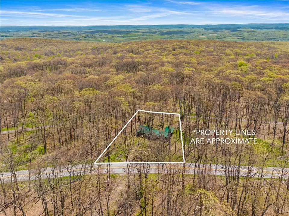 View/Area - 706 Laurel Summit Rd, Boswell, PA 15531 photo 5 of 9