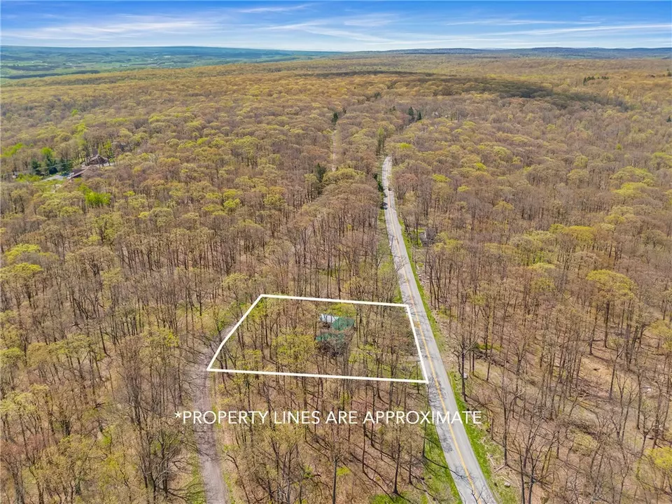 View/Area - 706 Laurel Summit Rd, Boswell, PA 15531 photo 4 of 9