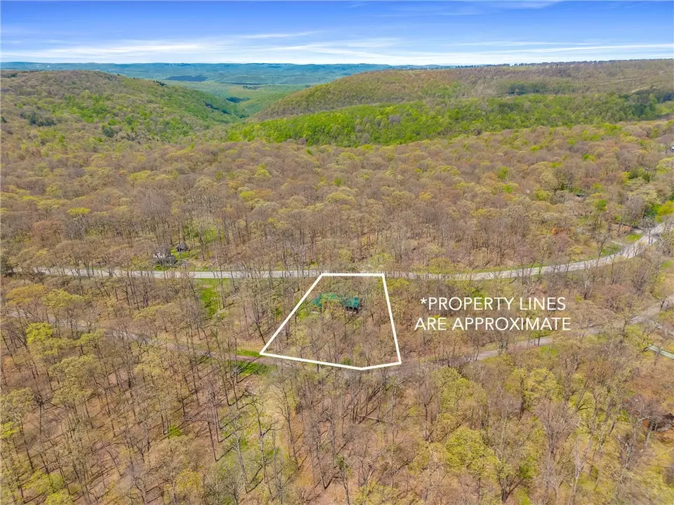 View/Area - 706 Laurel Summit Rd, Boswell, PA 15531 photo 7 of 9