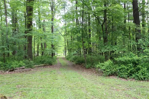 116 Camp Ln, Rector, PA 15677 photo 4