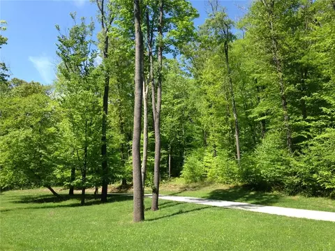 lot28 Grouse Pt, Champion, PA 15622