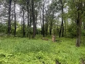 lot S 89 And 90 Laurel Summit Rd, Jennerstown, PA 15531