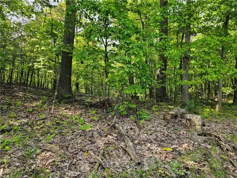 lot D Eau Claire Rd, Boyers, PA 16020