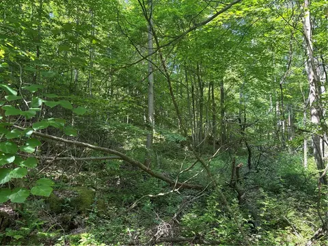 000 Fowl Hill Rd, Melcroft, PA 15462