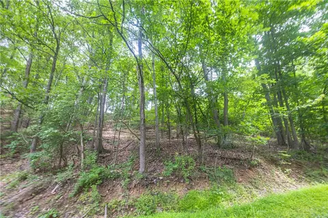 0 Alpine Ln, Smock, PA 15480