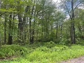 lot S 74 75 76 77 Innsbruck, Jennerstown, PA 15547