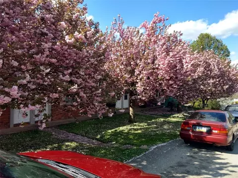 633 American St, California, PA 15419