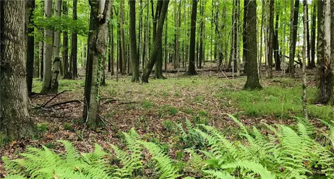 773 Sec 15 Stbarthelemy Rd, Dubois, PA 15801