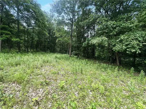 0 Coulter Estate Dr, Burgettstown, PA 15021