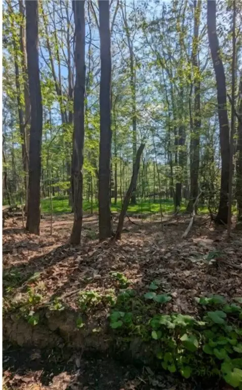 4 Horse Shoe Bend Rd, Acme, PA 15610