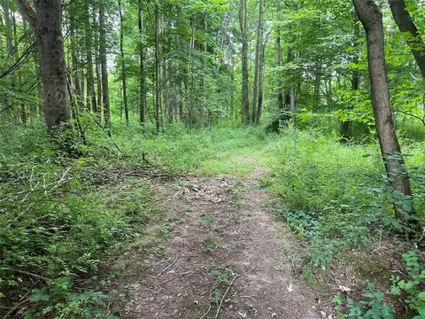 3 Acres On 3 - Acres On Phelps Rd, Linesville, PA 16424