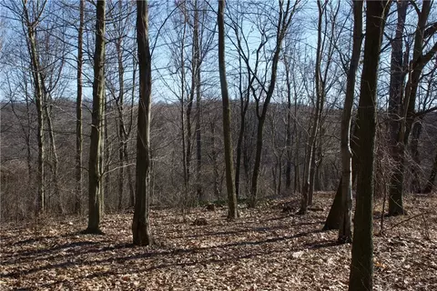 0 Audubon Rd, Sewickley, PA 15143