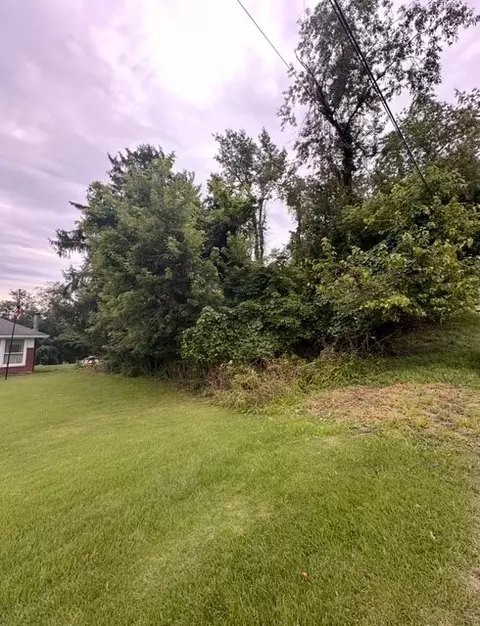 0 Peairs Rd, Elizabeth, PA 15037