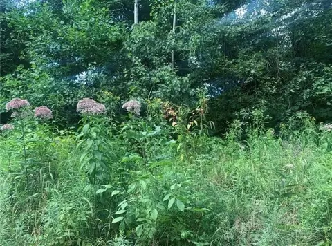 lot2 B 4 Vickerman Rd, Mercer, PA 16137