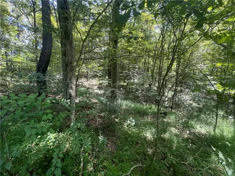 Exterior - 46 Simon Rd, Cheswick, PA 15024 photo 14 of 20