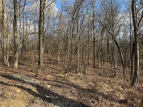 Exterior - 46 Simon Rd, Cheswick, PA 15024 photo 9 of 20