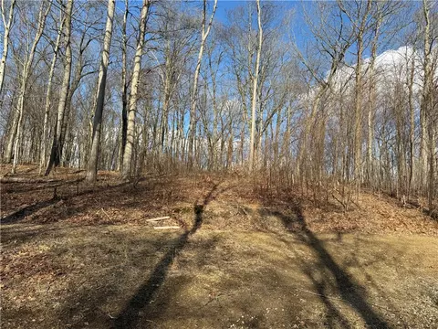 Other - 46 Simon Rd, Cheswick, PA 15024 photo 6 of 12