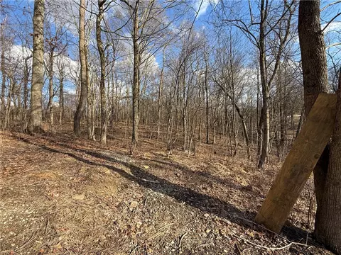 Other - 46 Simon Rd, Cheswick, PA 15024 photo 9 of 12
