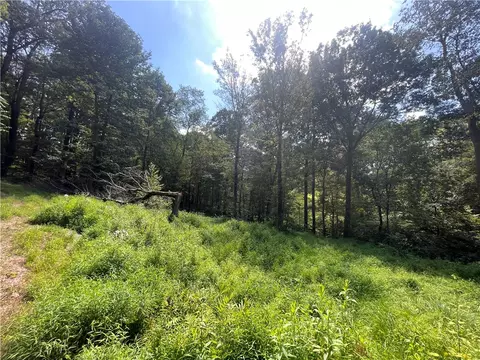 Exterior - 46 Simon Rd, Cheswick, PA 15024 photo 11 of 20