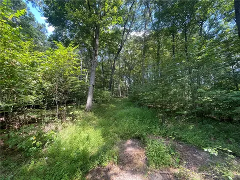 Exterior - 46 Simon Rd, Cheswick, PA 15024 photo 12 of 20