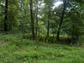 lot S 12 Bradys Lndg, Karns City, PA 16041