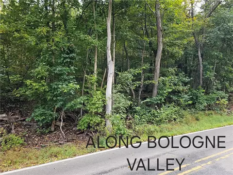 0 Bologne Valley Rd, Beaver Falls, PA 15010