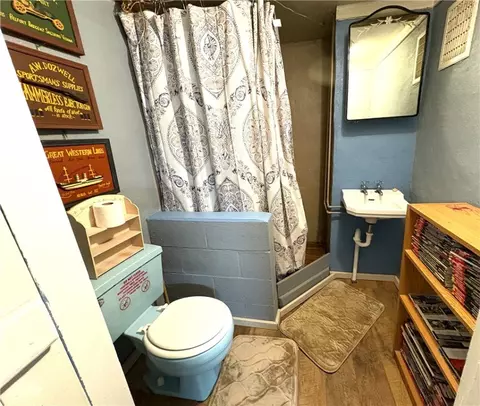 Bath - 116 Division Ave, Clairton, PA 15025 photo 3 of 4