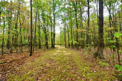 Other - 0 E State Rd, Seneca, PA 16346 photo 2 of 4