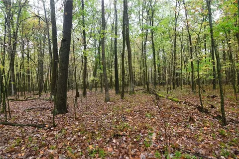 Other - 0 E State Rd, Seneca, PA 16346 photo 4 of 4