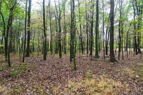 Exterior - 0 E State Rd, Seneca, PA 16346 photo 6 of 8