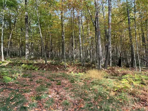 0000 Wonderland Trl, Boswell, PA 15531