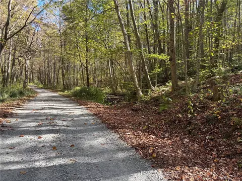 lot1 Neals Run Rd, Champion, PA 15622