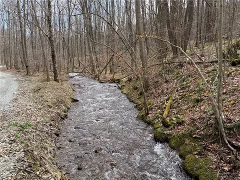 lot1 Neals Run Rd, Champion, PA 15622