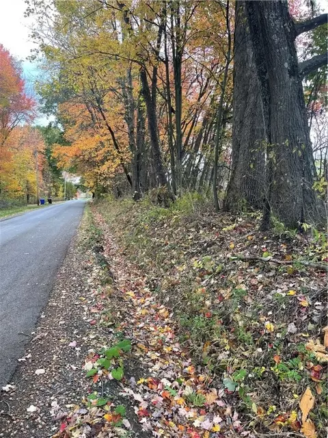 0 Browntown Rd, Harrisville, PA 16038
