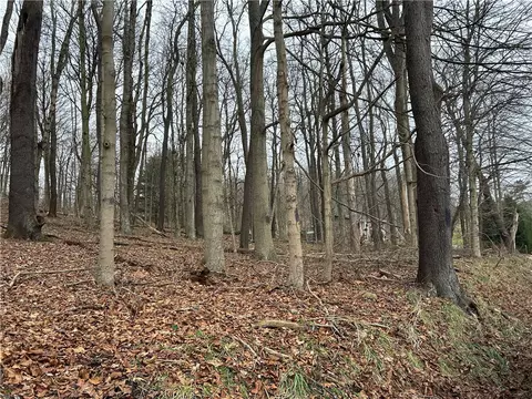 Bieda Lot Davis School Road, Washington, PA 15301