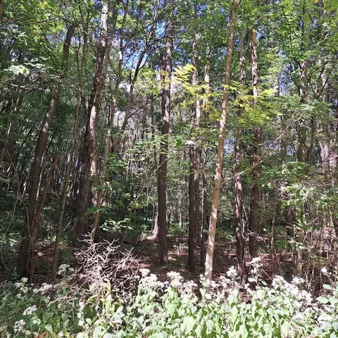 00 Chicora Rd, Chicora, PA 16025